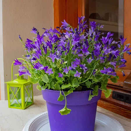 Appartamento Dina Studio 1 Argostoli (Kefalonia)